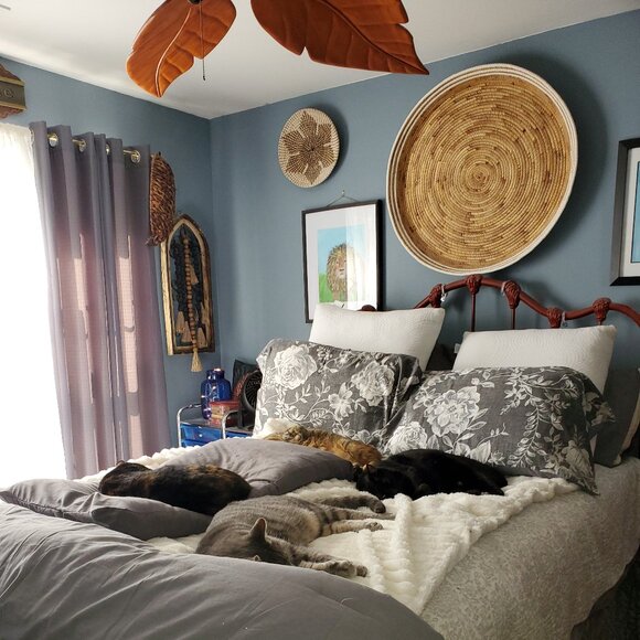 THE BOARD OF DIRECTORS OF THE RCA CAT CLOSET - Picture 1 of 1